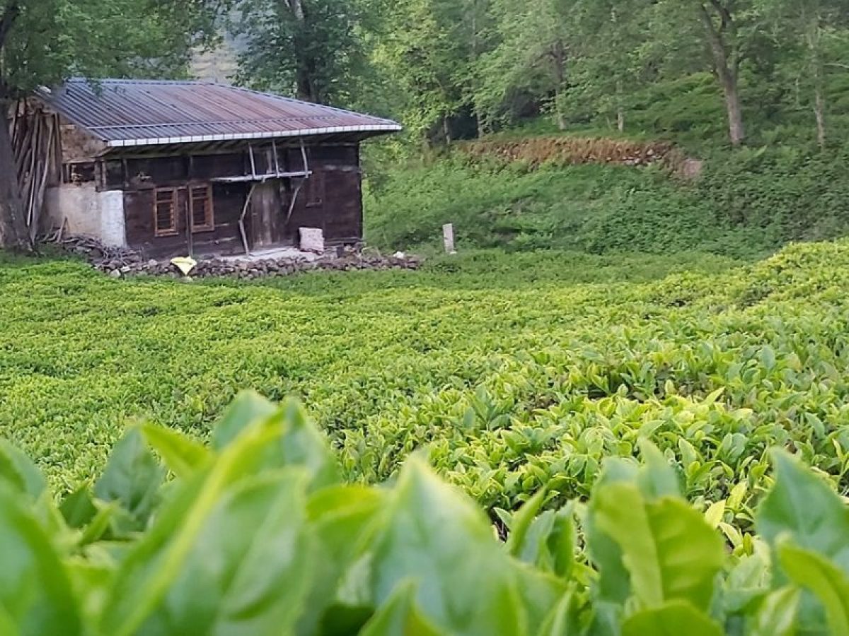 Ισκεντέρ Πασάς: Πώς ο εξωμότης επίσκοπος Αλέξανδρος Ποτουράς ο Χουσαμάντης κατάλαβε ότι ο χριστιανισμός είναι μονόδρομος