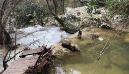 kafti-patata-to-polilimnio-ke-1