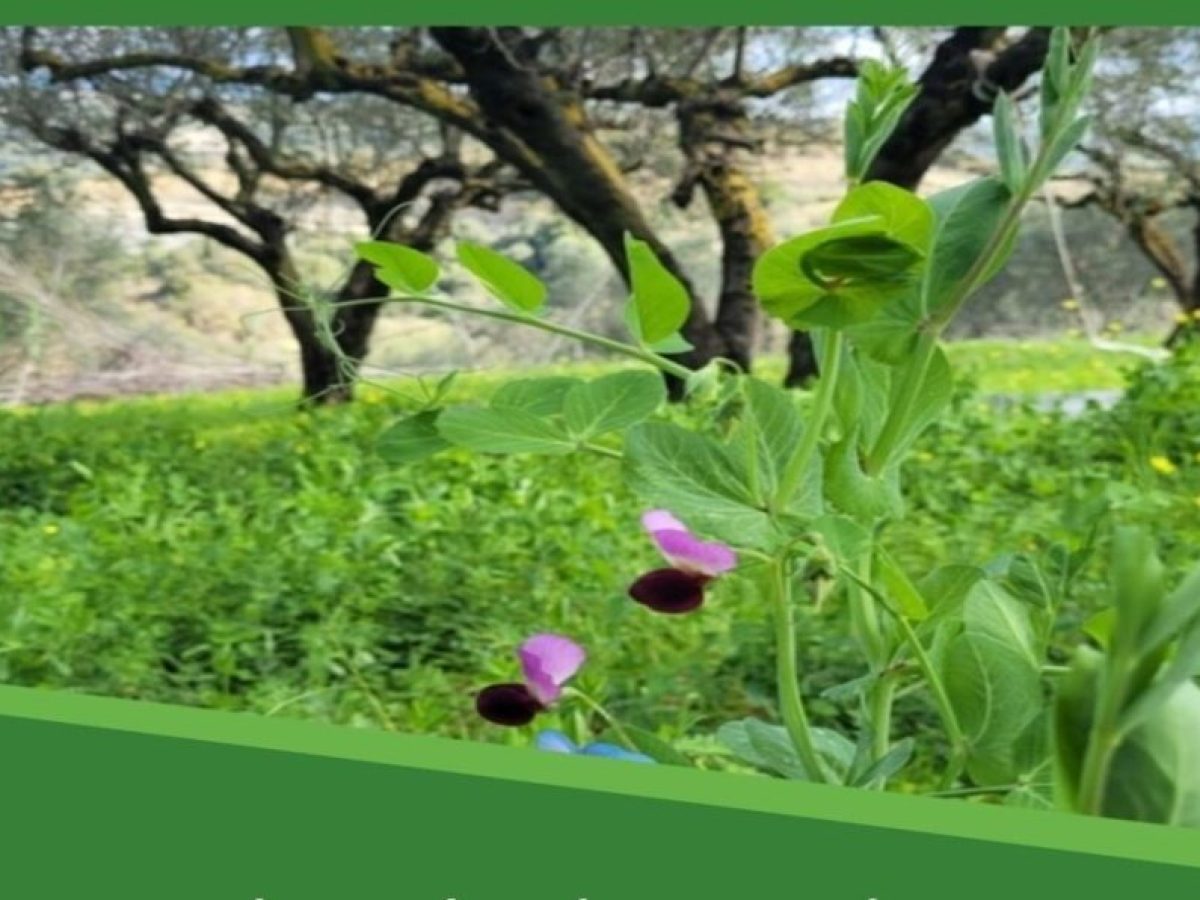 Καλαμάτα: Bιωματικό εργαστήριο του ΕΛΓΟ-ΔΗΜΗΤΡΑ