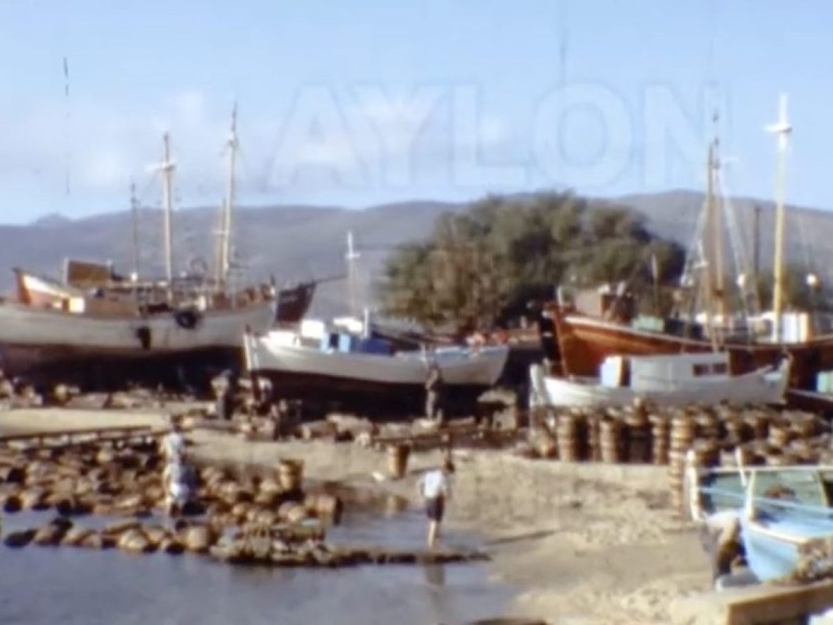 Κάρυστος 1966: Το σπάνιο φιλμ που «ζωντανεύει» το ιστορικό καρνάγιο που δεν υπάρχει πια