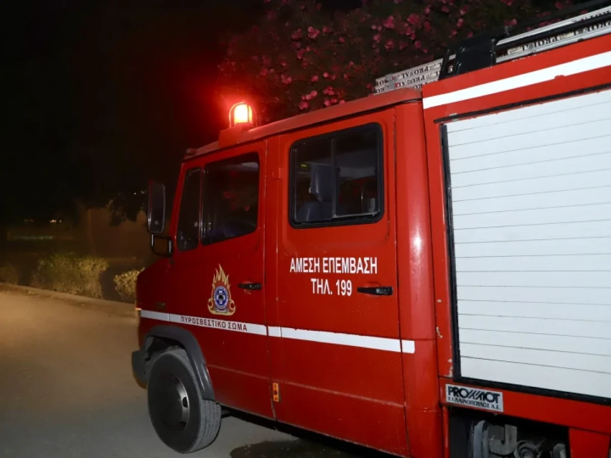 Καστοριά: Υπό πλήρη έλεγχο η πυρκαγιά σε δασική έκταση στο Πευκόφυτο