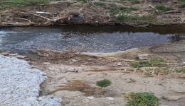 katangelia-tis-laiki-sispirosi-limnou