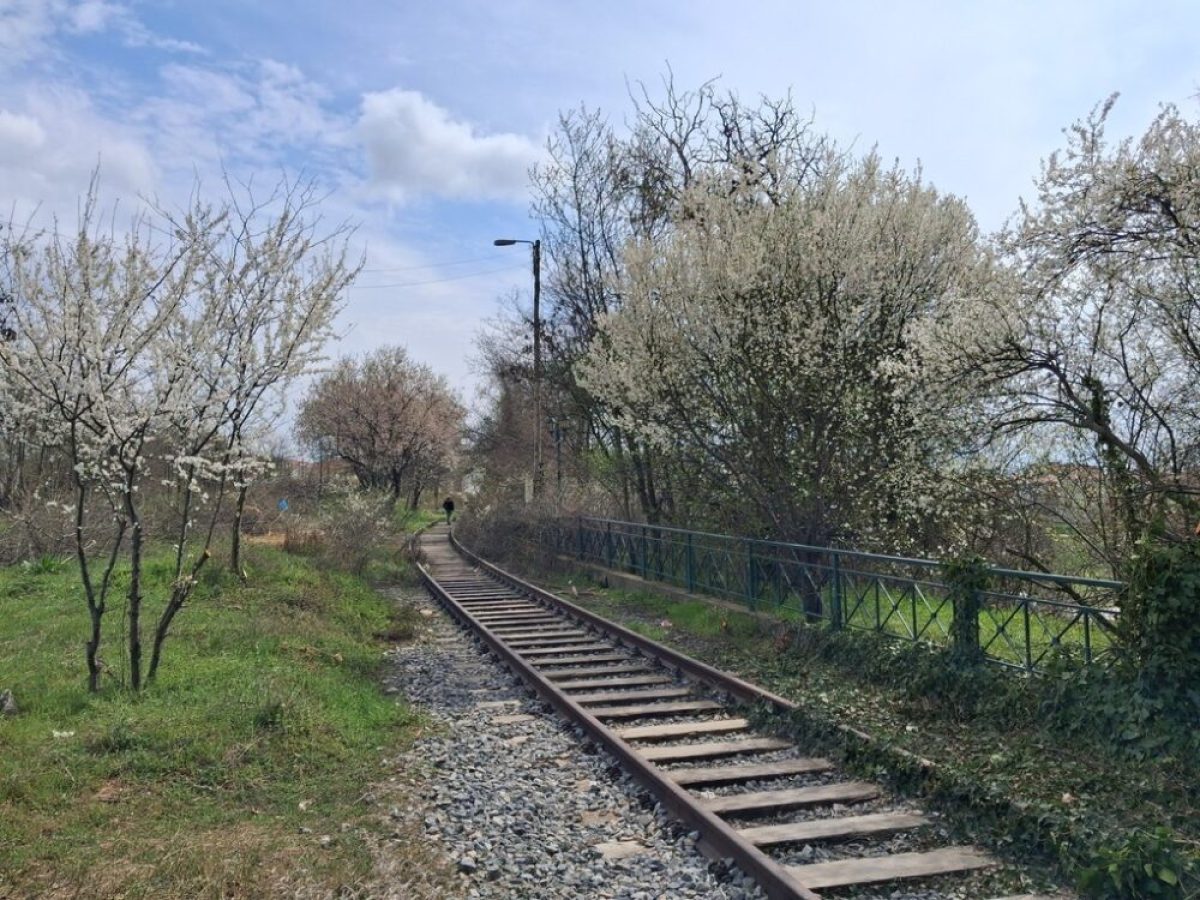 Καθαρισμός και παρεμβάσεις στην περιοχή του ΟΣΕ στην Κοζάνη