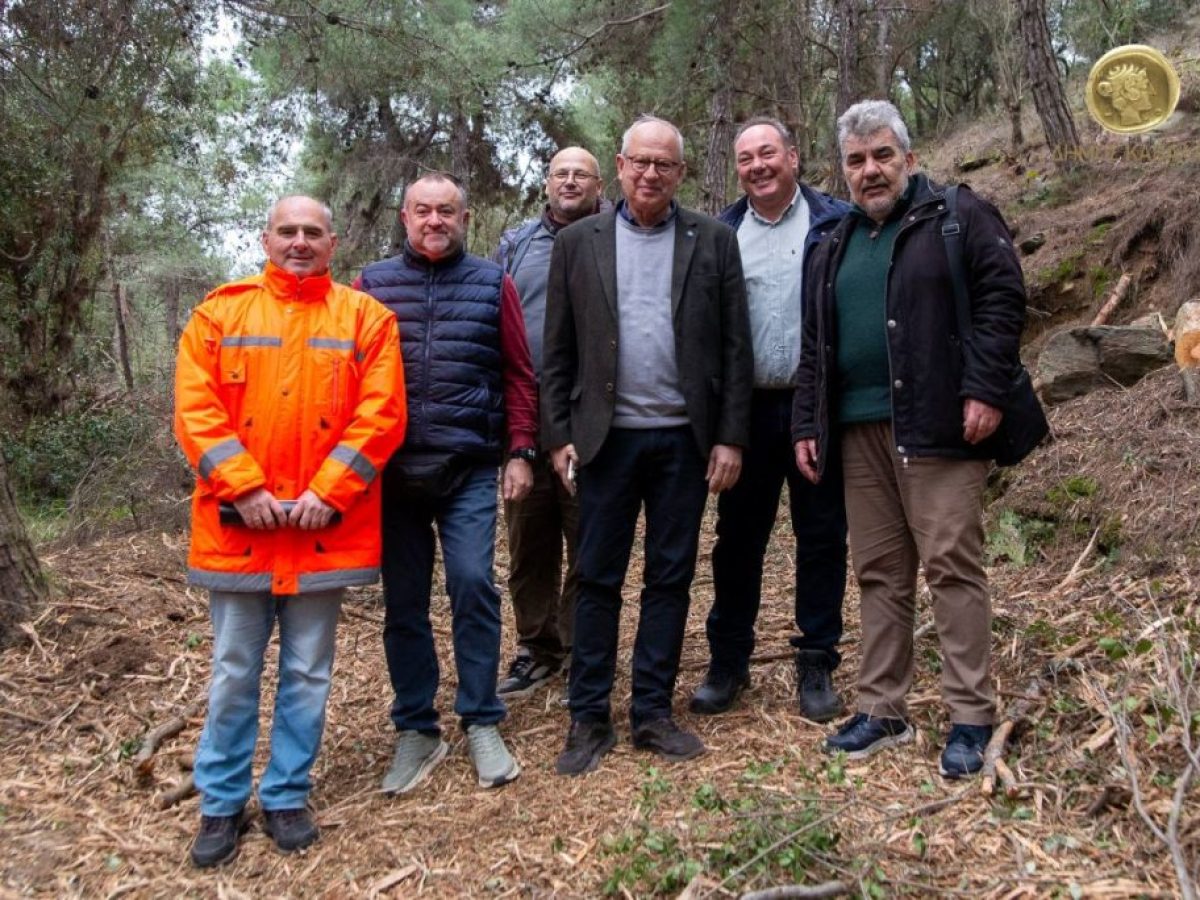 Καβάλα: Εργασίες καθαρισμού δασικής έκτασης στο Παληό