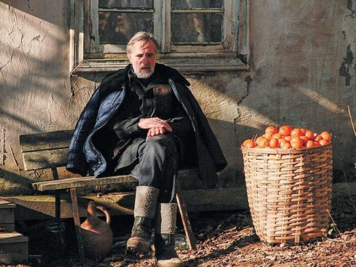 Κινηματογραφική Λέσχη Μ.Ε.Ο.: Μια βαθιά ανθρώπινη αντιπολεμική ιστορία