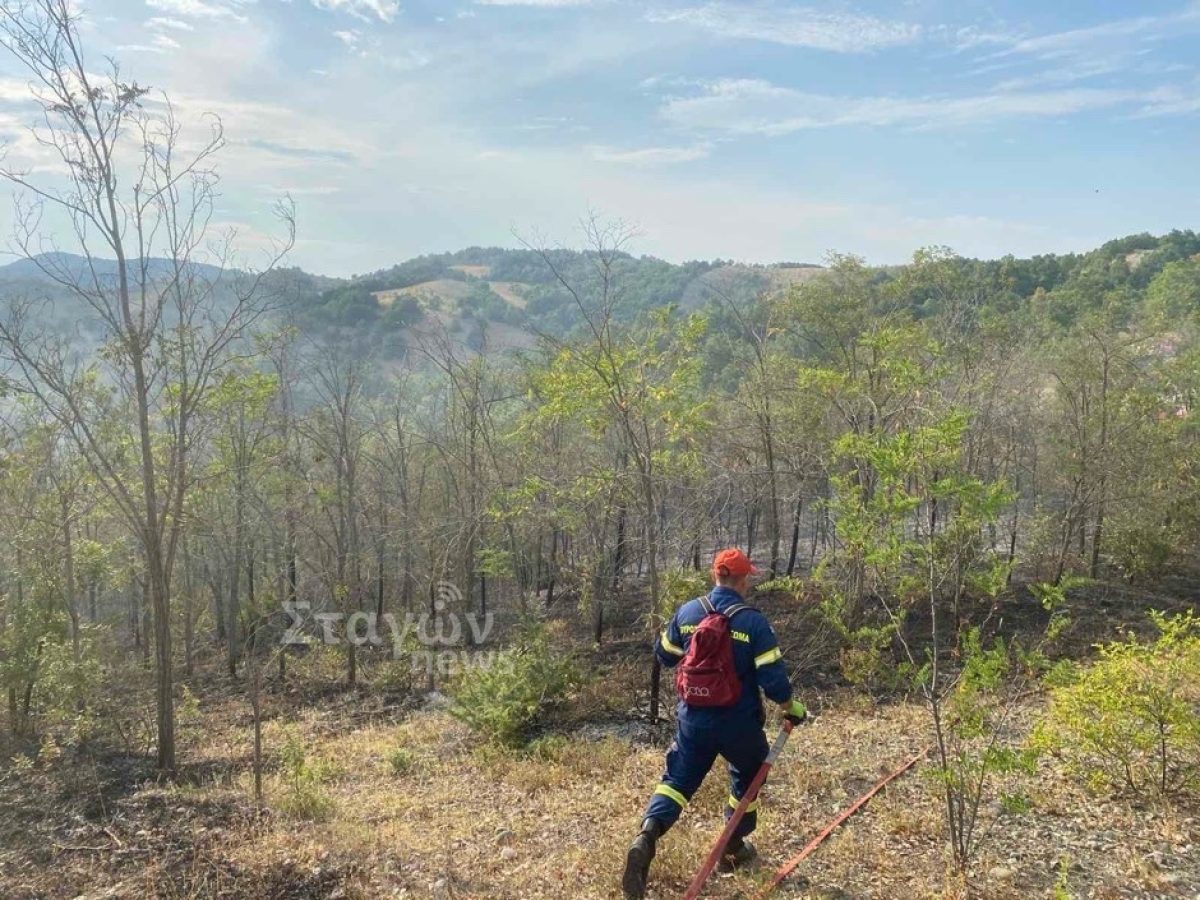 Κινητοποίηση της Πυροσβεστικής Υπηρεσίας Καλαμπάκας για φωτιά στην Αγναντιά