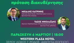 kopi-pitas-tou-pΑsok-sti-1