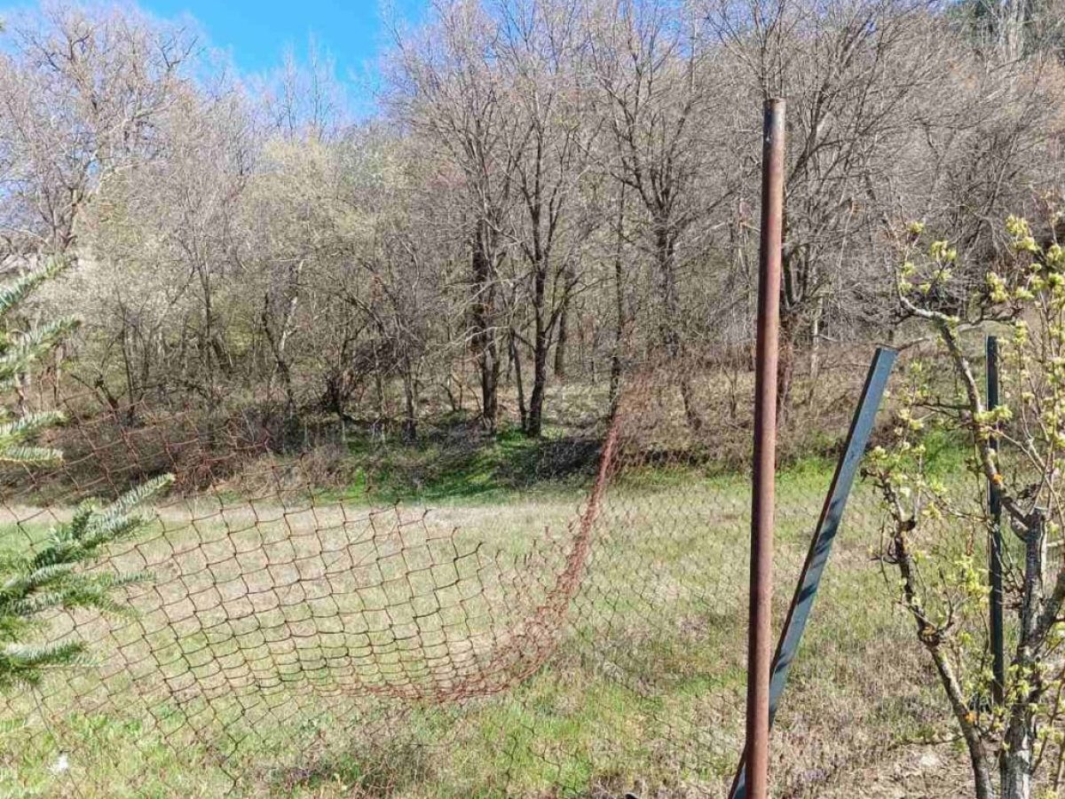 Κοζάνη: Επιθέσεις αρκούδας στην Αναρράχη Εορδαίας – Σύσταση για αυξημένη προσοχή