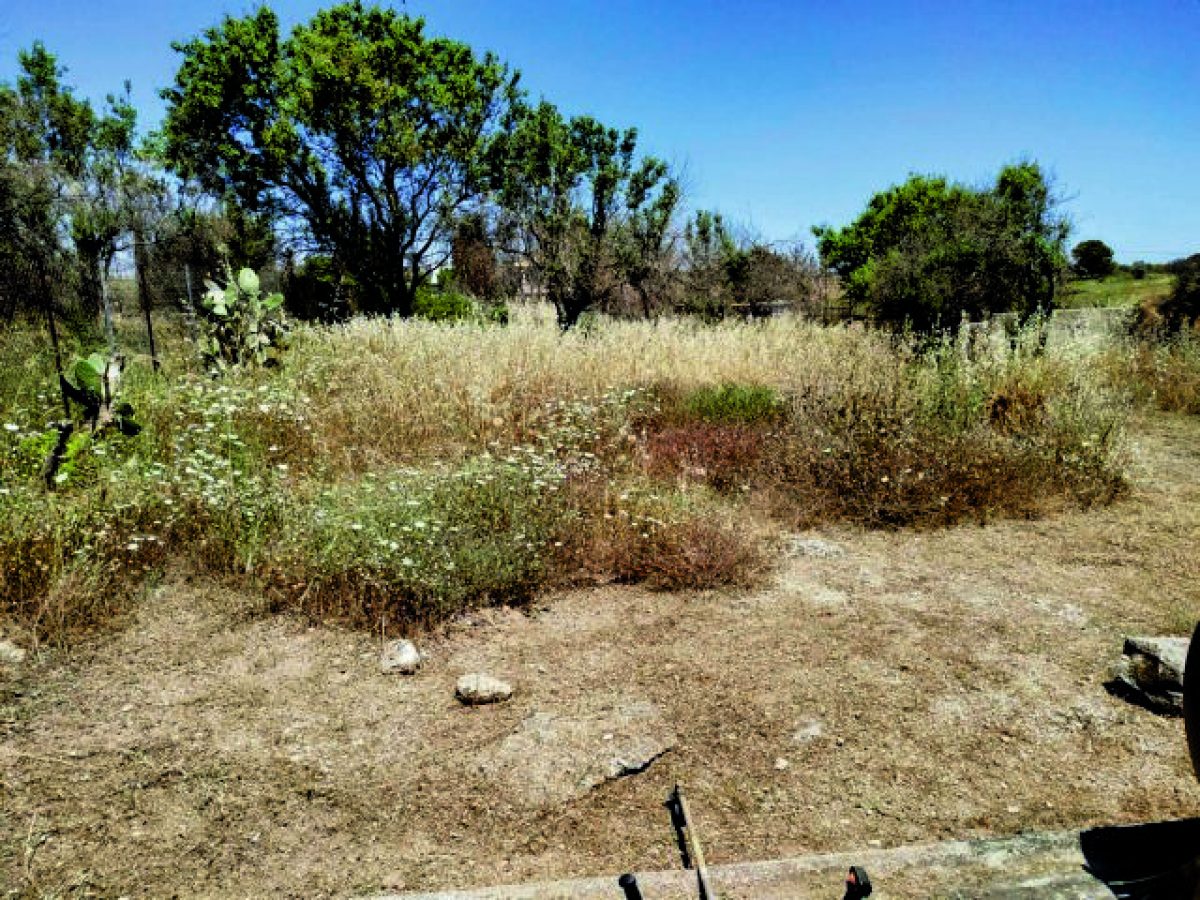 Κοζάνη και Φλώρινα: Πρόστιμα σε πολίτες για παραβάσεις πυροπροστασίας σε υπαίθριες καύσεις