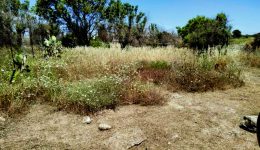 kozani-ke-florina-prostima-se