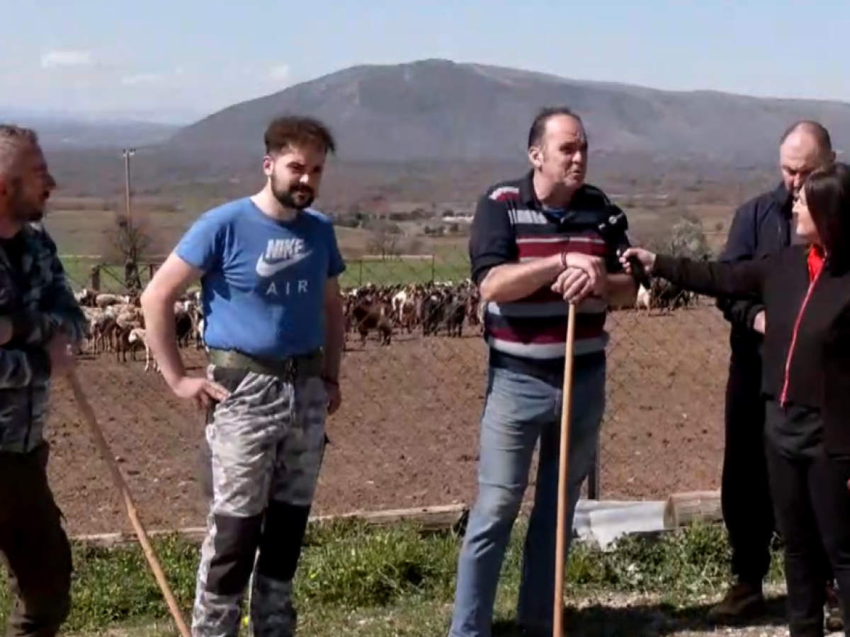 Κοζάνη: Κτηνοτρόφοι στο αυτόφωρο επειδή «σπάνε» την καραντίνα και βγάζουν τα κοπάδια τους έξω