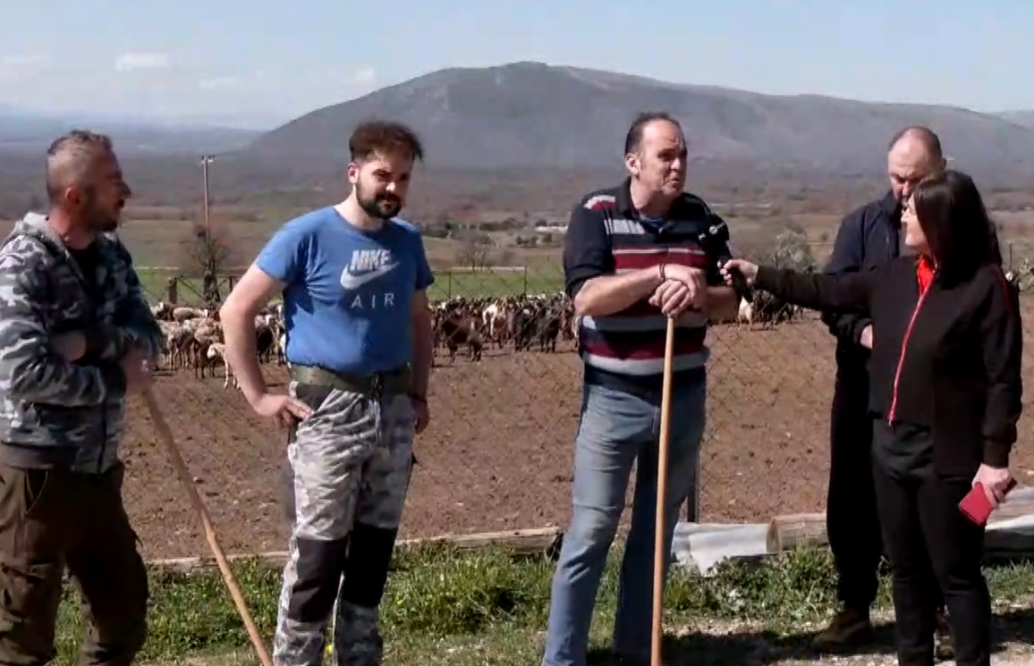 kozani-ktinotrofi-sto-aftoforo-epidi