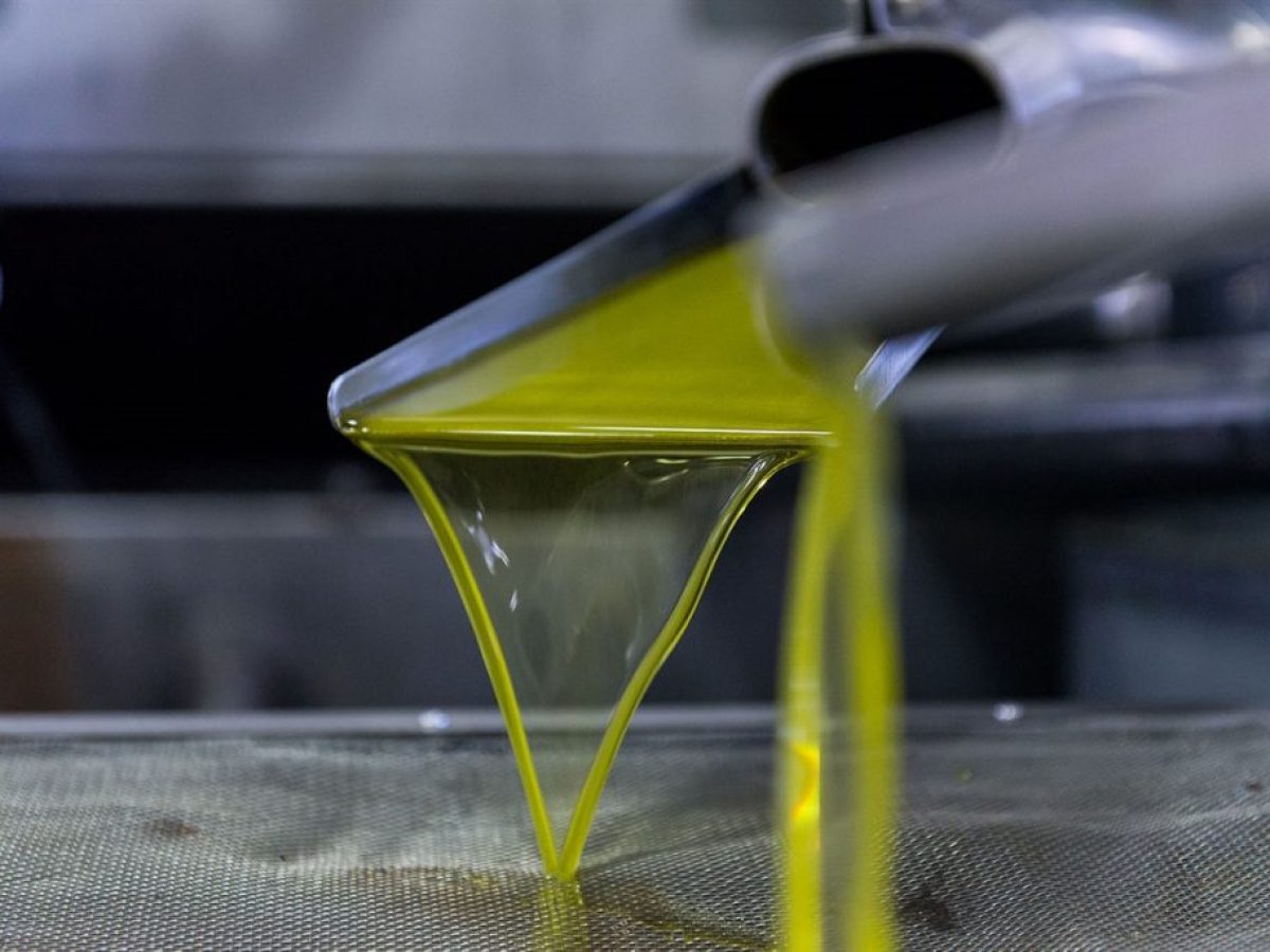 Κρίση στη Μέση Ανατολή: Η πορεία των κρητικών εξαγωγών με φόντο την πολεμική σύρραξη – Δείτε όλο το ρεπορτάζ (βίντεο)