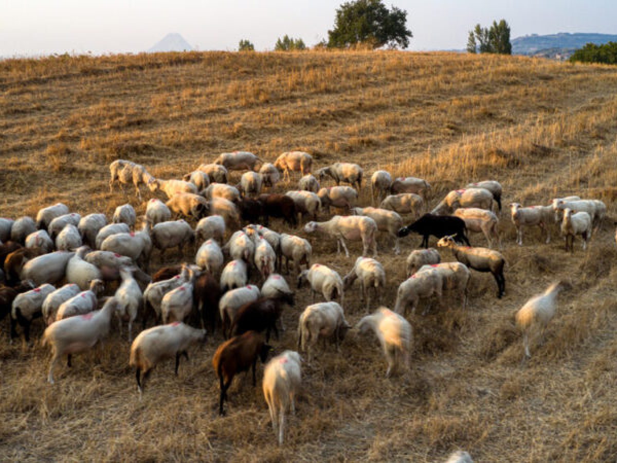 Κρίσιμο το επόμενο διάστημα ως το Πάσχα