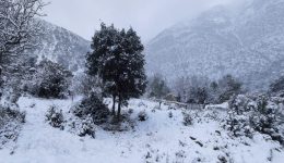 kriti-egklovistike-sta-chionia-parea
