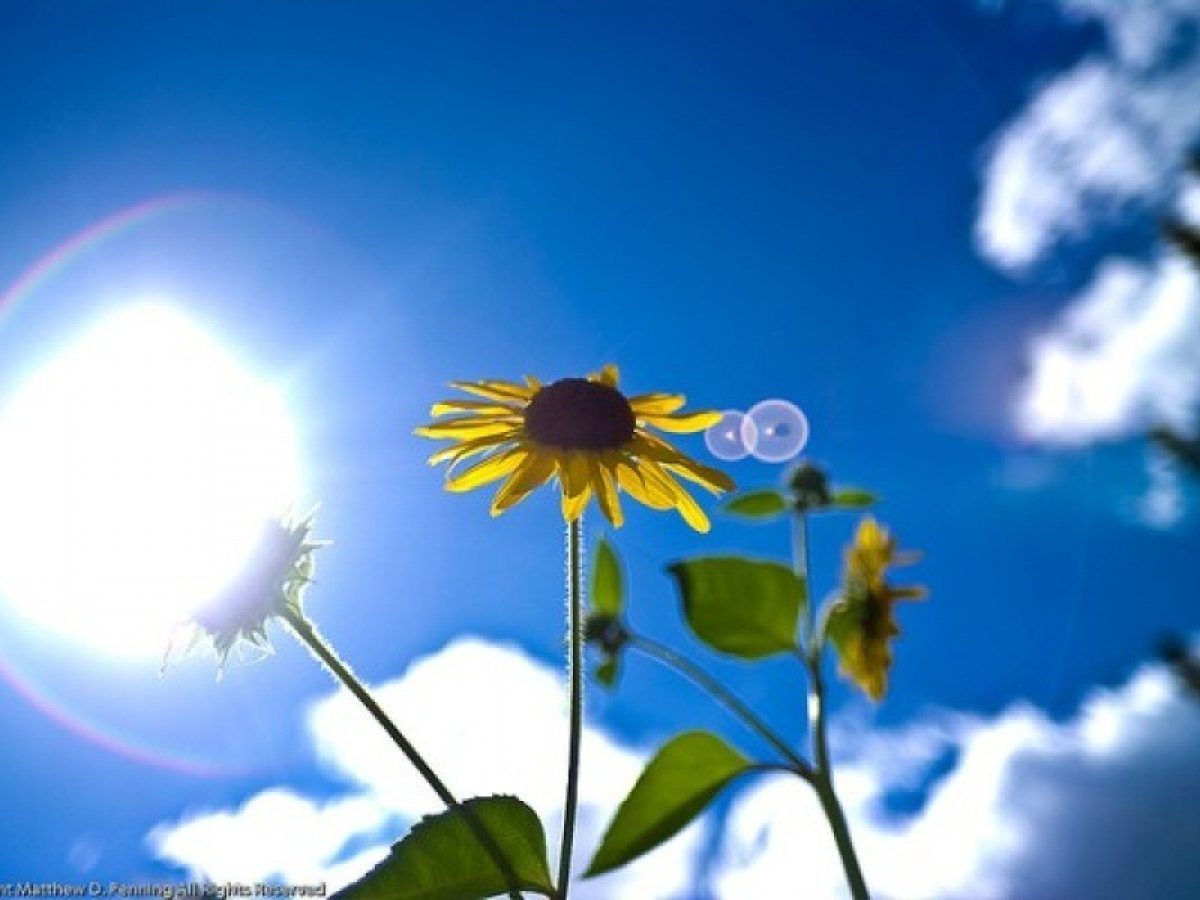 Κρήτη: Ο καιρός της Κυριακής 15 Μαρτίου