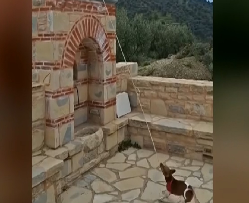 kriti-skilos-chtipai-tin…kampana-ekklisias