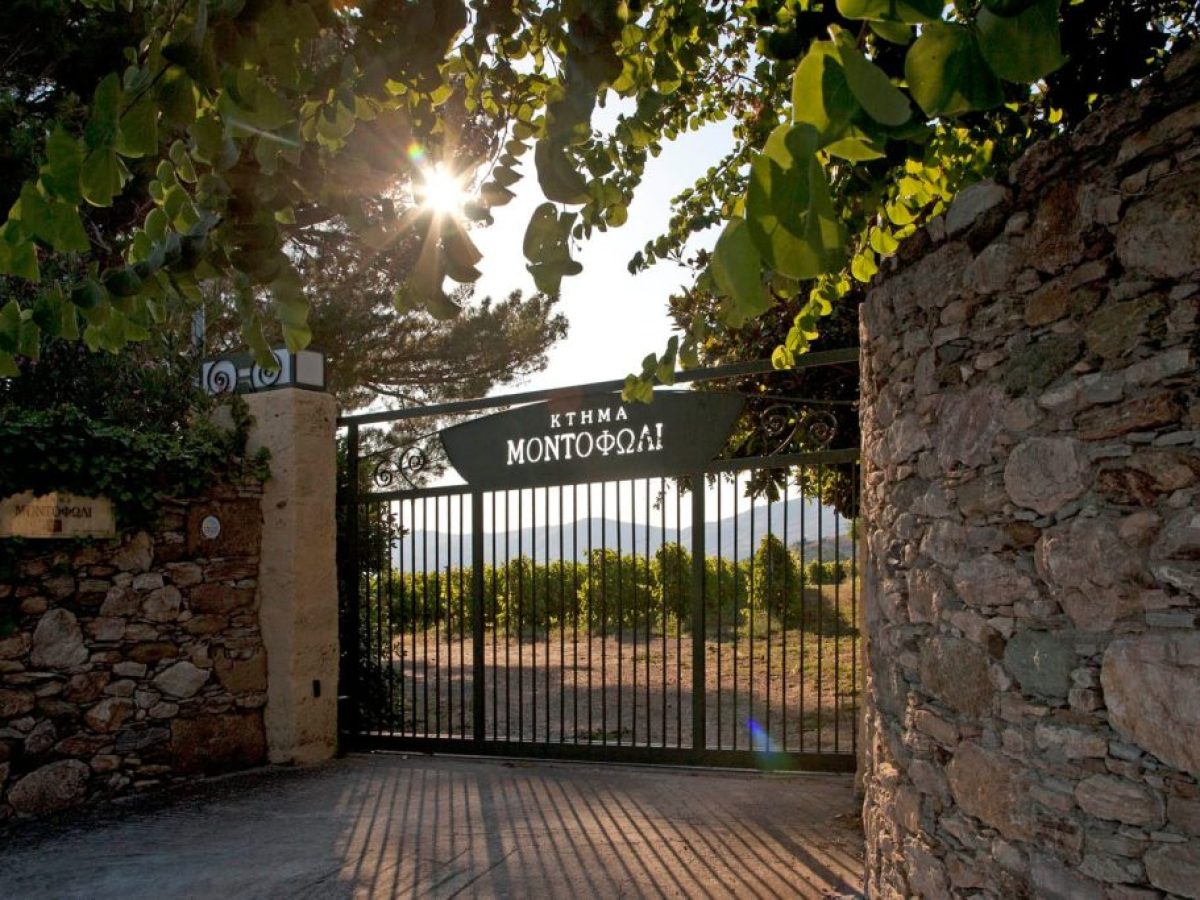 Κτήμα Μοντοφώλι: Το ιστορικό «διαμάντι» της Καρύστου με το θρυλικό γλυκό κρασί και τα μυστικά αιώνων