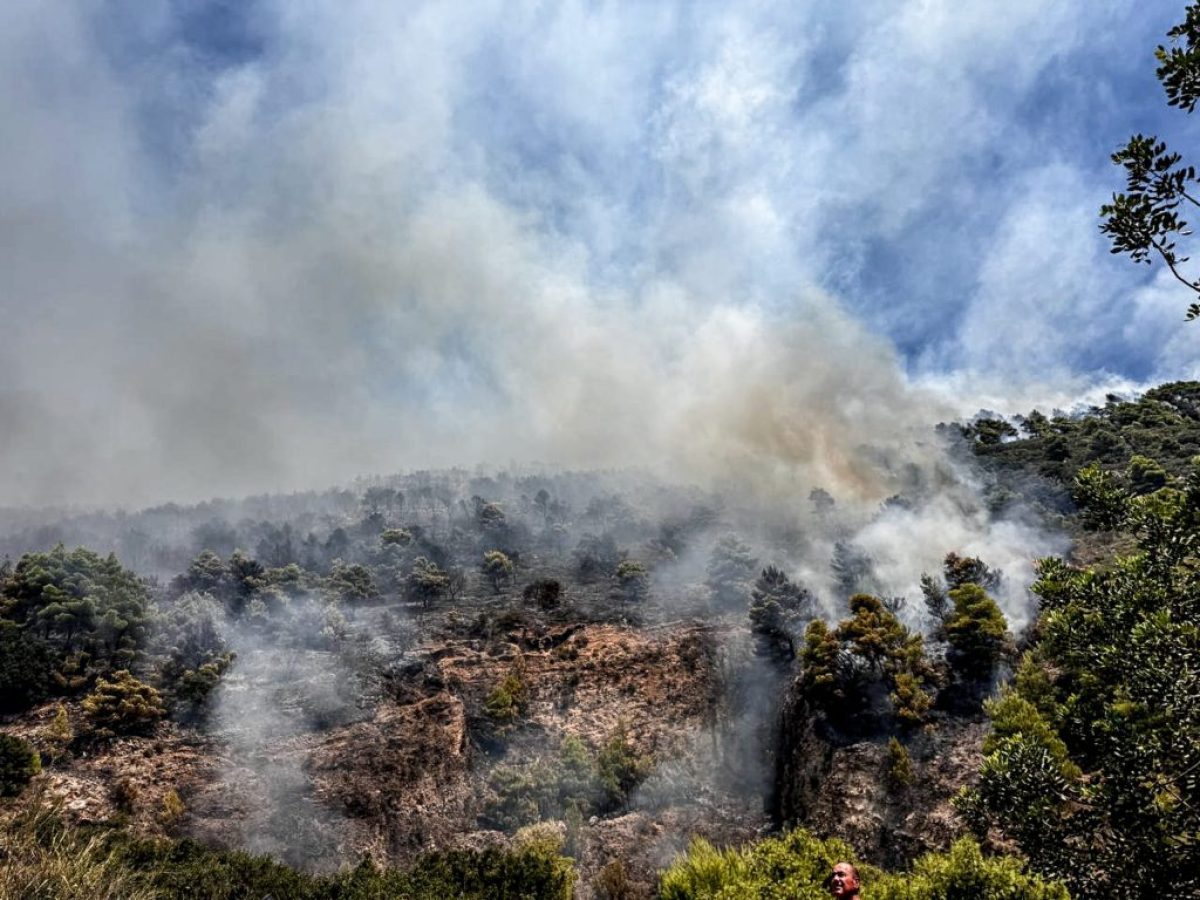 Λασίθι: Οριοθετήθηκε η φωτιά στη Σητεία έπειτα από πέντε ώρες