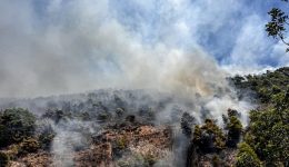 lasithi-oriothetithike-i-fotia-sti-1