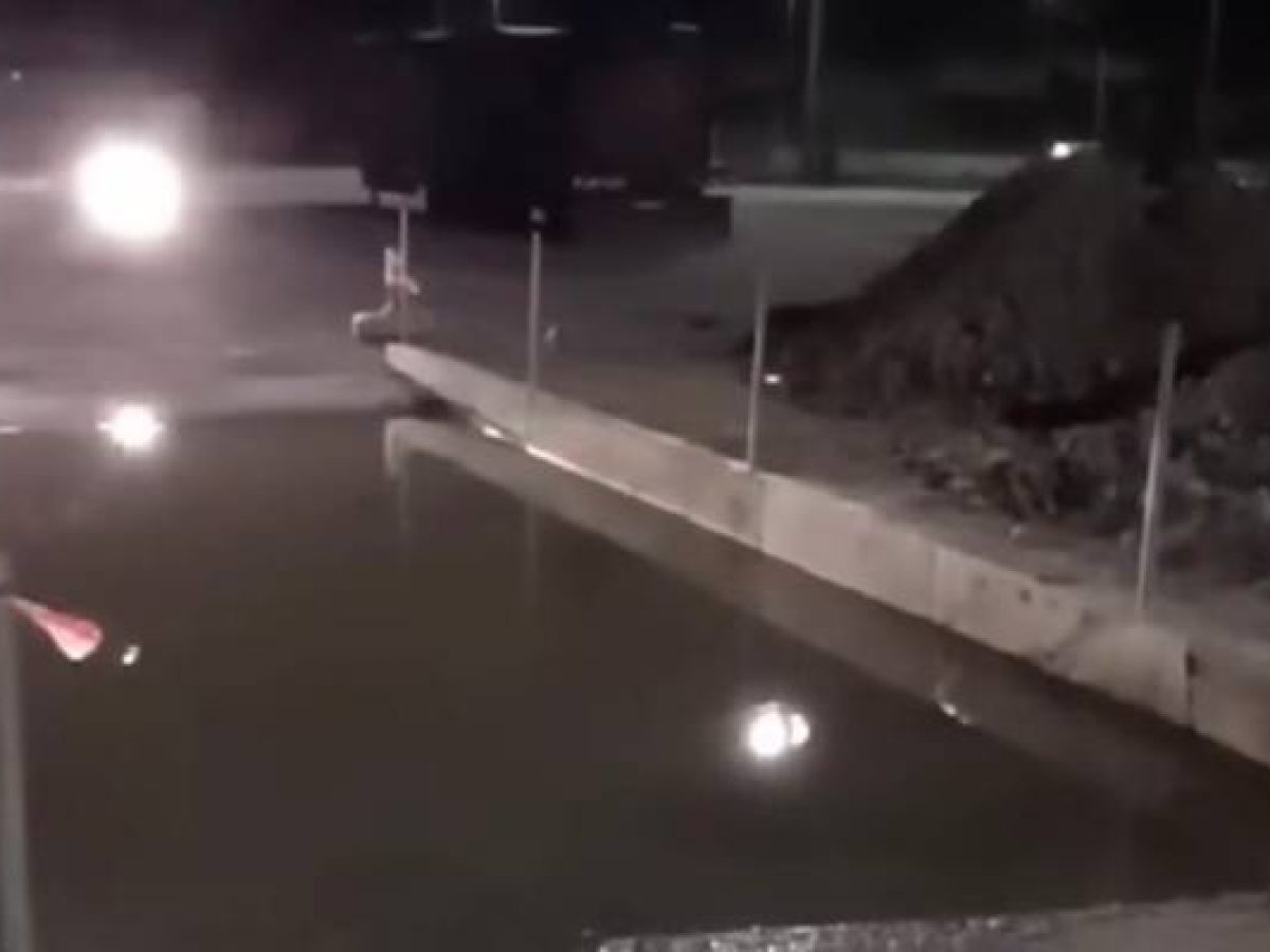 Λήμνος: «Εγκληματική αμέλεια» καταγγέλλουν οι κτηνοτρόφοι | Κανένα όχημα από Μυτιλήνη δεν πέρασε από την απολυμαντική τάφρο