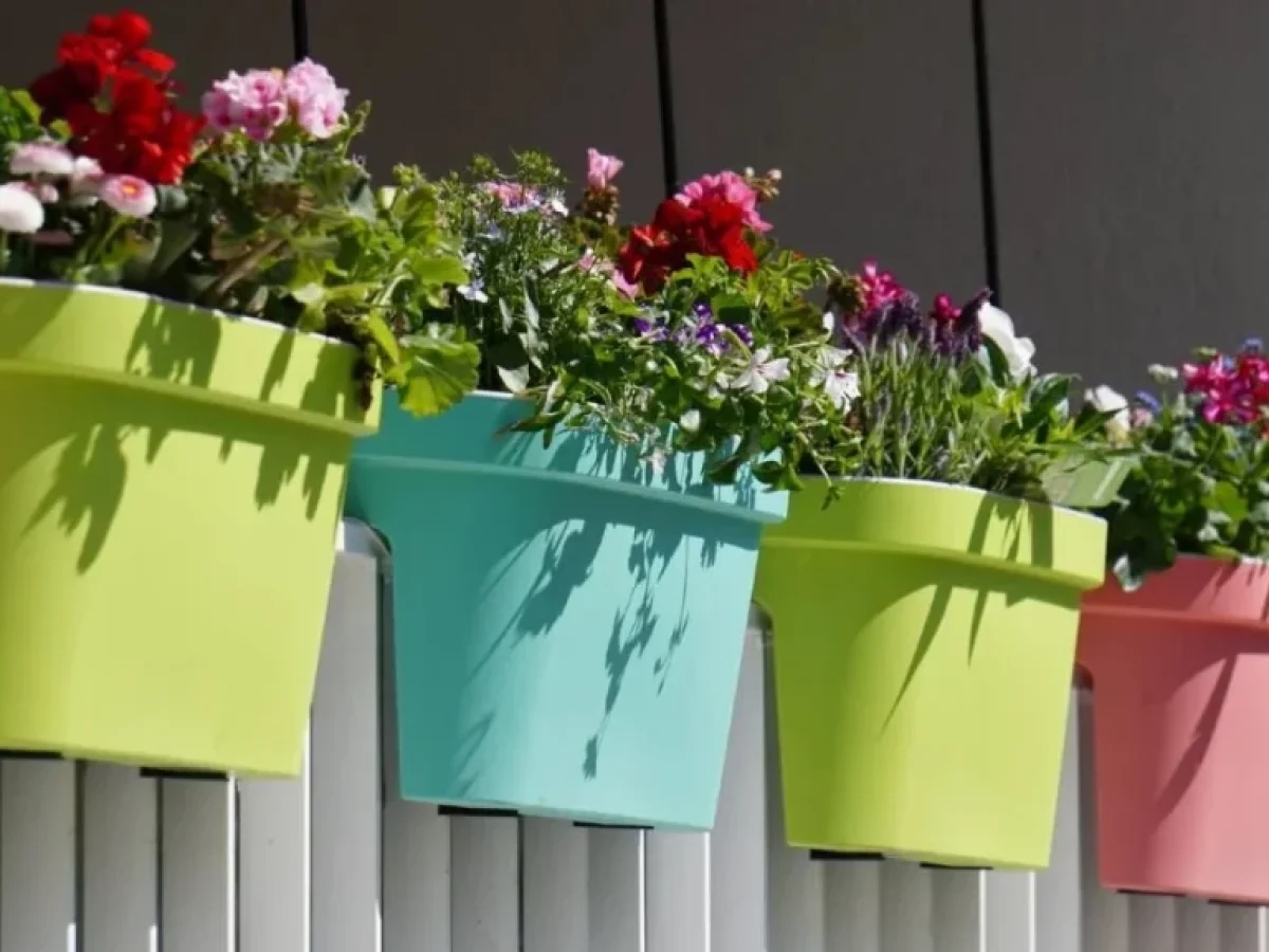 Μάρτιος στο μπαλκόνι: Τα 5 λουλούδια που πρέπει να φυτέψετε τώρα για να έχετε χρώμα όλο το Πάσχα