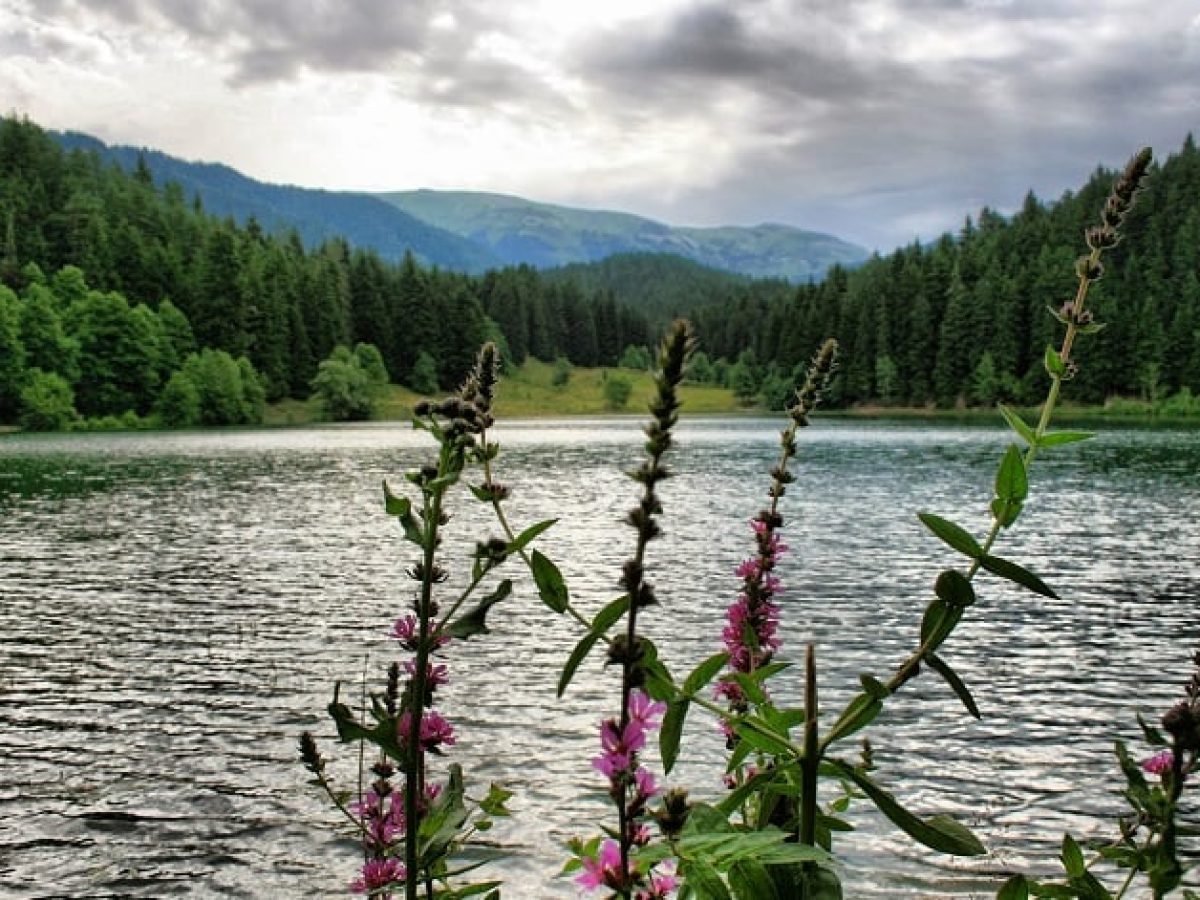 Μάρτ’ς ο πεντάγνωμος