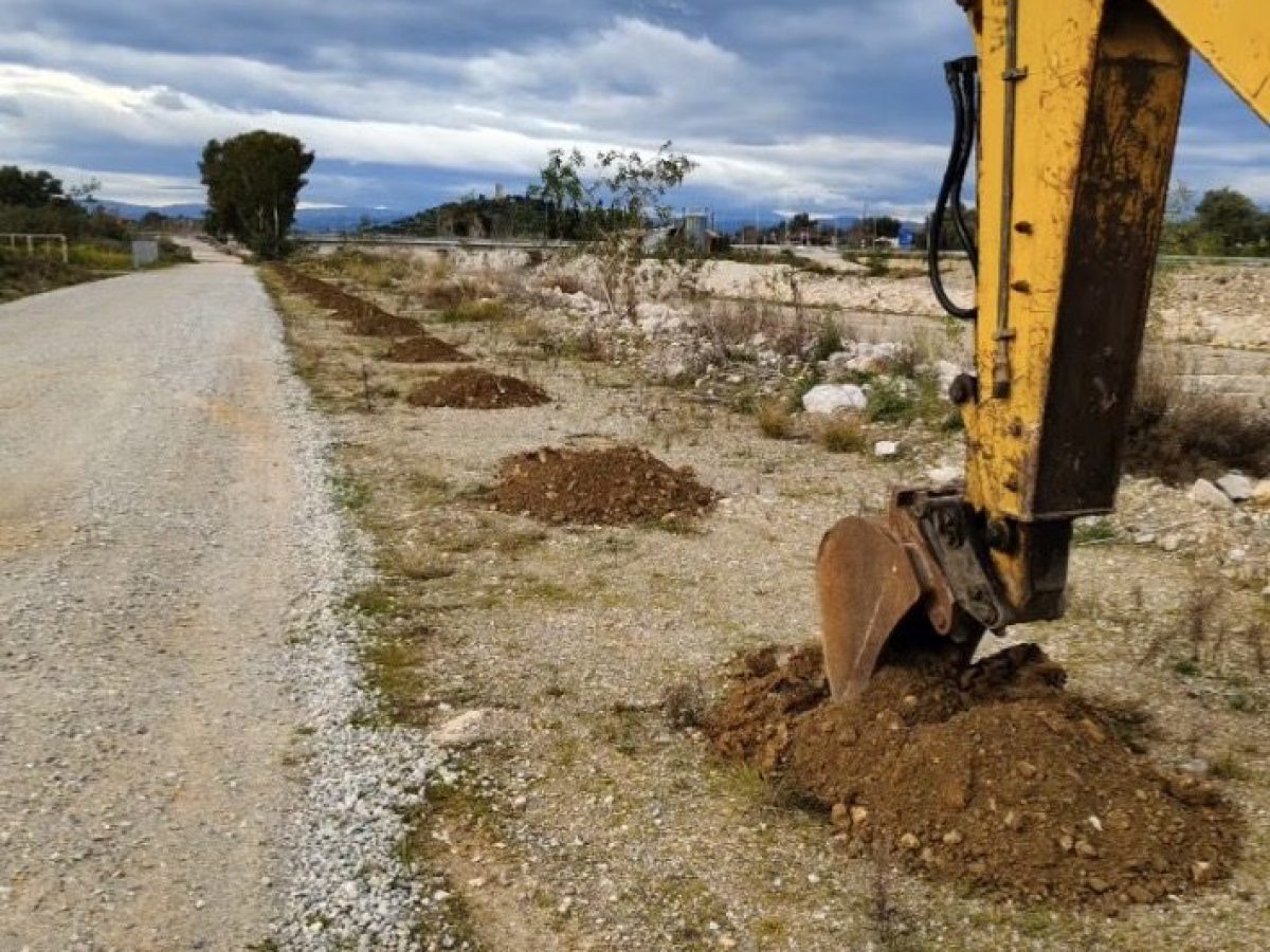Μαθητές φύτεψαν δεντράκια σε διάφορα σημεία της Εύβοιας