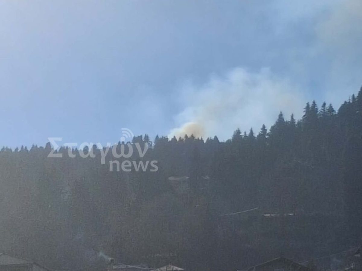 Μεγάλη φωτιά στη Χρυσομηλιά στο σημείο «Σημαία»– Συναγερμός στην Πυροσβεστική Καλαμπάκας