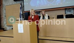 melina-dermentzopoulou-periferia-ke-epangelmaties