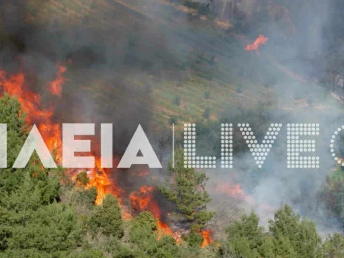 Μαίνεται το πύρινο μέτωπο σε δάσος στα Βυτιναίικα Πύργου Ηλείας