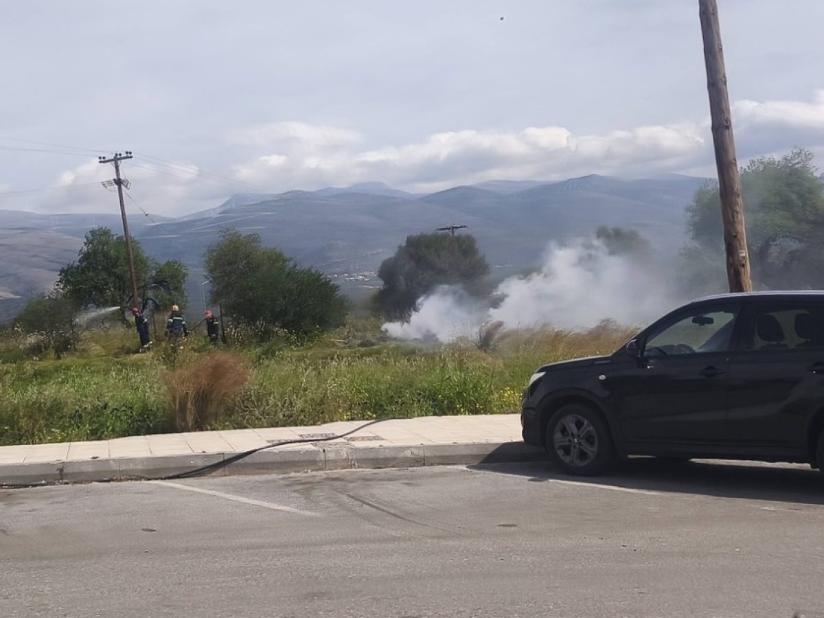 Μικρο-φωτιά σε έκταση δίπλα από το Νοσοκομείο Μολάων