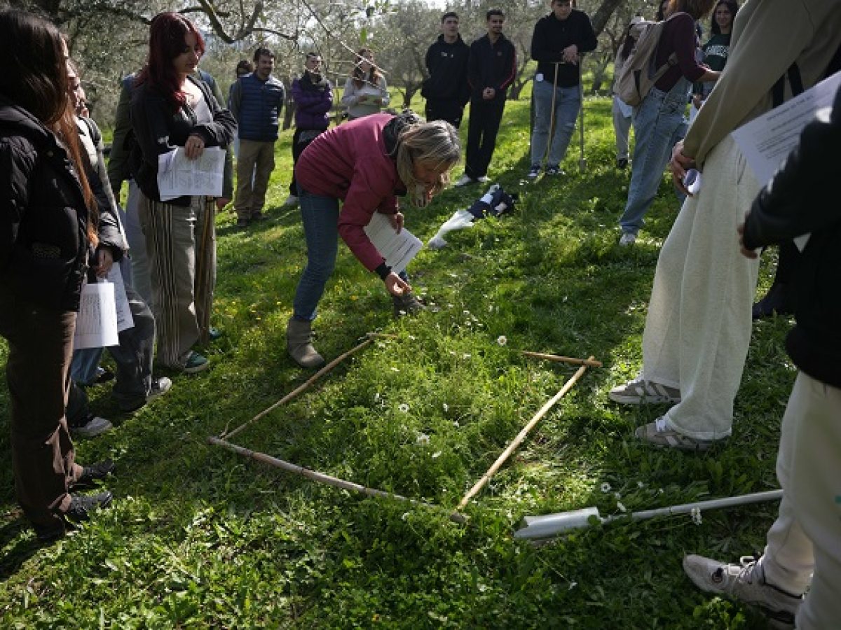 ΜΥΤΙΛΗΝΗ Α.Ε:Με επιτυχία η 3η ενημερωτική δράση για τον Λεσβιακό Ελαιώνα