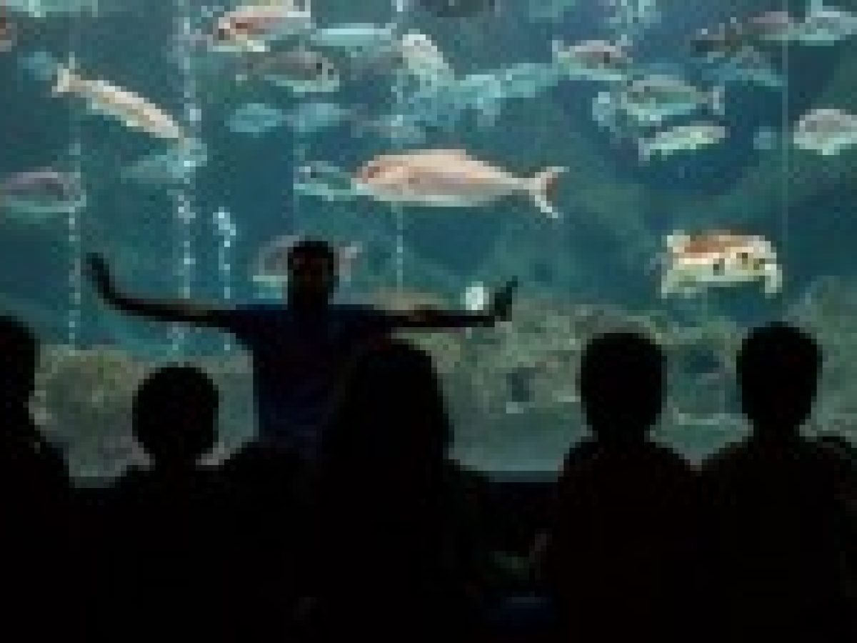 Μνημόνιο συνεργασίας Δήμου Λευκάδας – ΕΛΚΕΘΕ για Ενυδρείο στο νησί