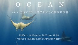 naxos-provoli-tou-ntokimanter-OCEAN