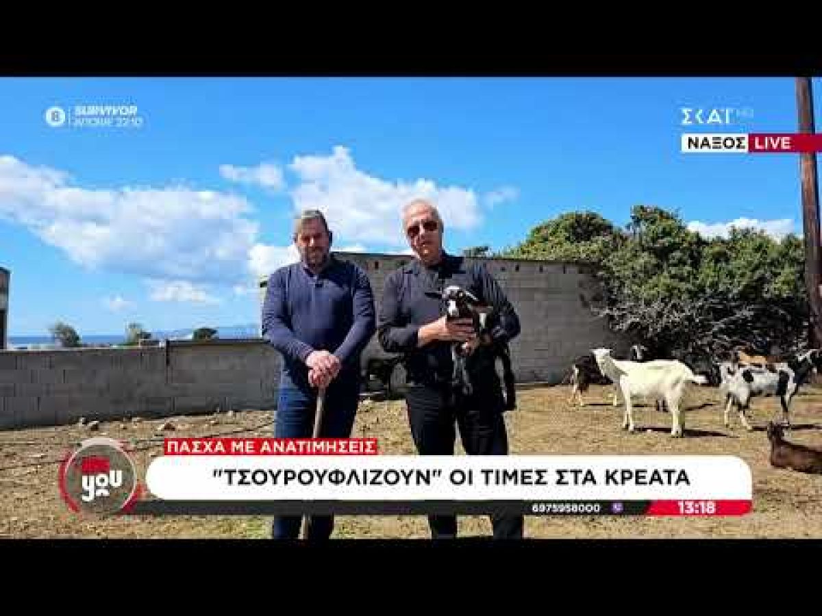 Νάξος: Στα 8,5–9 ευρώ ζητούν οι κτηνοτρόφοι αρνί και κατσίκι για το Πάσχα (video)