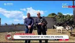 naxos-sta-85–9-evro-zitoun