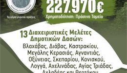 nea-chrimatodotisi-ipsous-227.970-evro-3