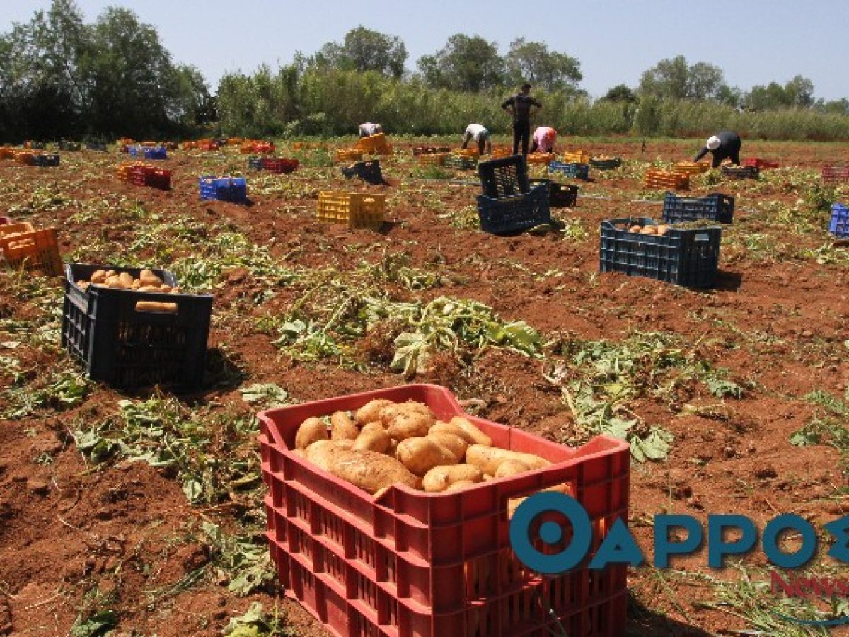Νέα πρωτοβουλία του Π. Μαντά για  τον πρωτογενή τομέα της Μεσσηνίας: «Ο λόγος στους αγρότες»