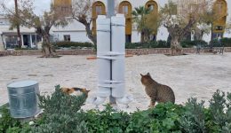 nees-taistres-choris-gnosi-ke