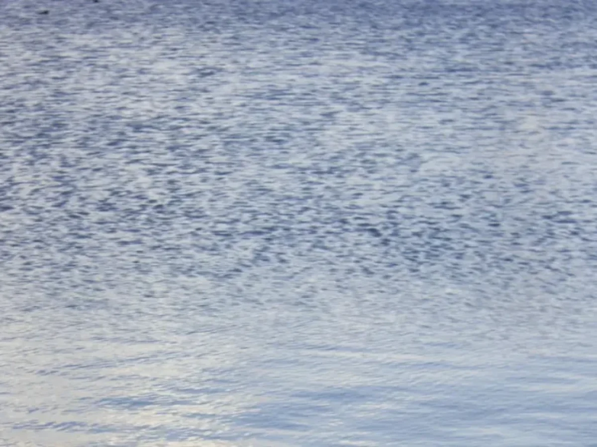 Νέο μακάβριο εύρημα στη Χαλκιδική: Ανθρώπινο κρανίο και οστά σε τεχνητή λίμνη ξενοδοχείου στη Σιθωνία