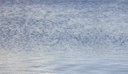 neo-makavrio-evrima-sti-chalkidiki