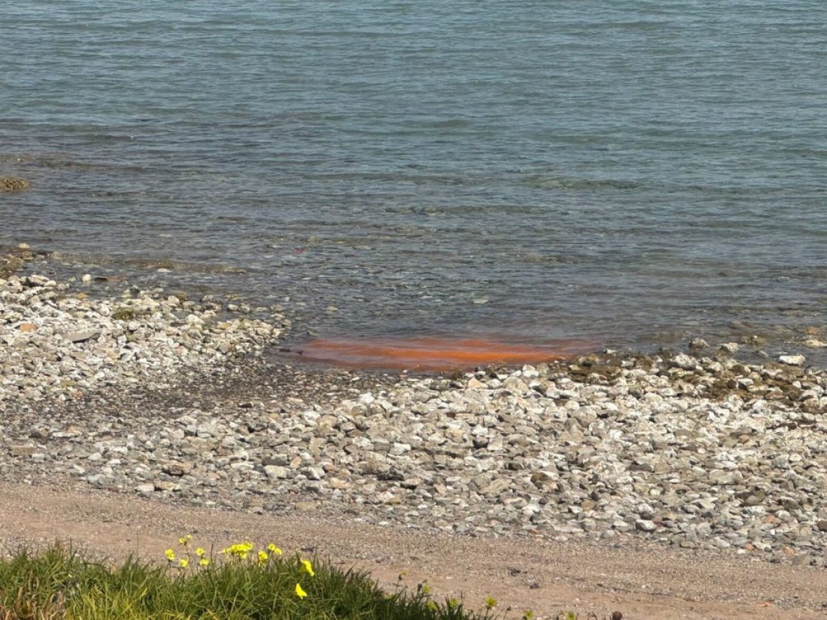 Νέος συναγερμός στην Εύβοια: Νέα παραλία έγινε «πορτοκαλί» – Εικόνες