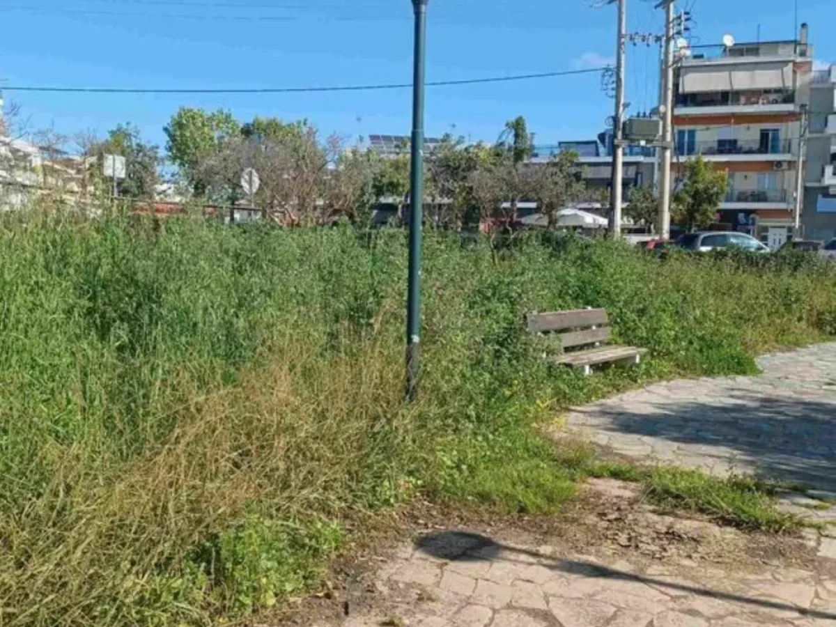 Νέο… άλσος στην Πάτρα: Τα αγριόχορτα έχουν φθάσει σε ύψος το 1,5 μέτρο