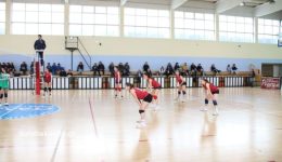 nikisan-stin-karditsa-ke-stin