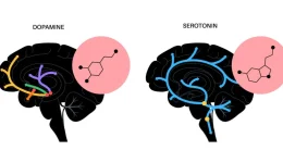 ntopamini-vs-serotonini-pos-na-1