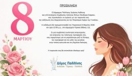 o-dimarchos-pallinis-tima-tis-2
