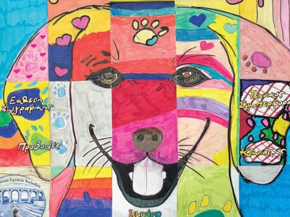 Ο Δήμος Χαλκιδέων συμμετέχει στην Ημέρα Υπεύθυνης Υιοθεσίας Ζώων του 12ου Δημοτικού σχολείου