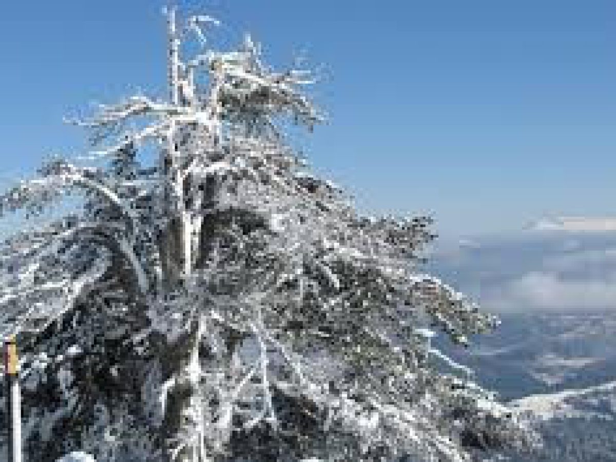 Ο Ε.Ο.Σ. Κοζάνης διοργανώνει αυτή την Κυριακή ορειβατική διάσχιση στη Βασιλίτσα 