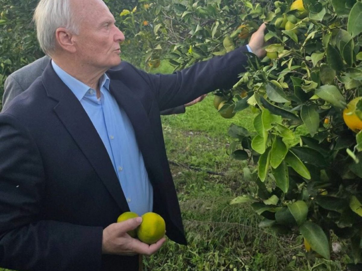 Ο Γιάννης Ανδριανός στο 2ο Συνέδριο Αγροτικής Ανάπτυξης Ροδόπης